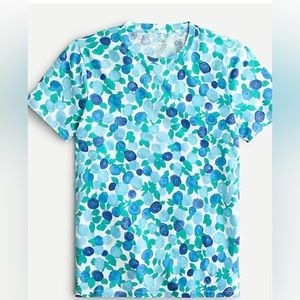 🆕 J Crew New vintage cotton crewneck printed T-shirt in blue multi